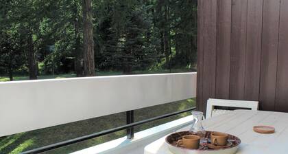 Cozy Studio in Vars Les Claux - Near Slopes & Amenities, Sleeps 2