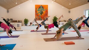 A yoga class in a spacious room with wooden beams on the ceiling, a large painting on the wall, and a potted plant in the background. - Chambres d'Hôtes Sanskriti (Scionzier)
