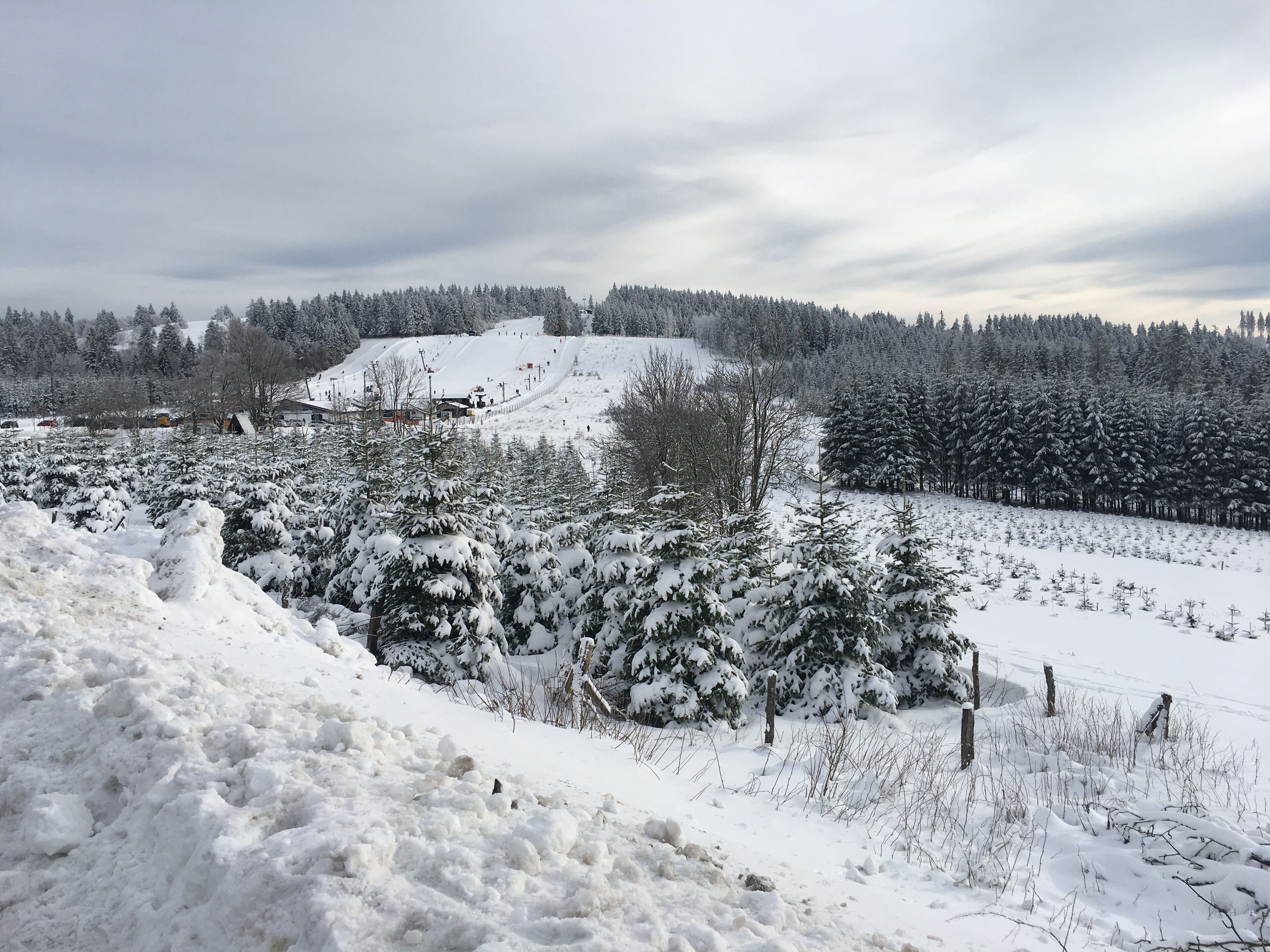 A snowy landscape with a ski slope, trees, and a fence.