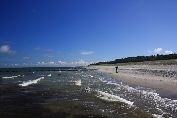 Beach - Hotel Haus Kranich (Ostseebad Prerow)