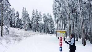 A person standing next to a signpost in a snowy forest. - An der Bobbahn (Winterberg)