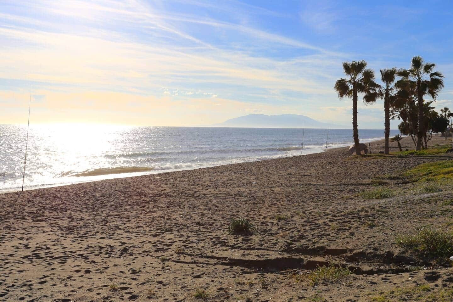 Een strand met zand, palmbomen en een heldere lucht.