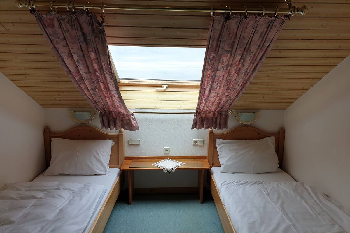 Habitación estándar con 2 camas individuales, 2 camas individuales, para no fumadores | Wifi gratis y ropa de cama