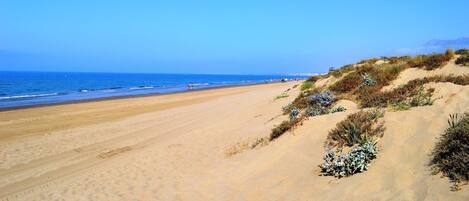 Sillas reclinables de playa, toallas de playa