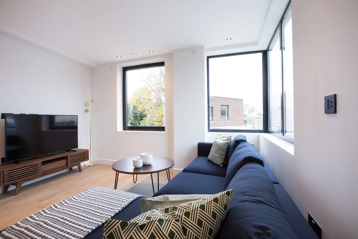 Deluxe Apartment | Living area | 55-inch flat-screen TV with digital channels, TV, Netflix