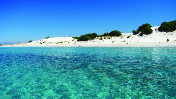 Una playa con agua turquesa cristalina, arena blanca y vegetación verde en las dunas.