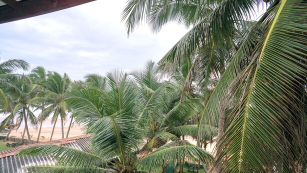 Garden - OYO 435 Moon Beach Villa (Hikkaduwa)