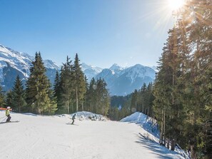 Deportes de invierno y ski