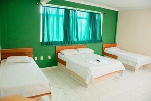 Minibar, desk, free WiFi, bed sheets - Hotel Dez de Julho (Manaus)