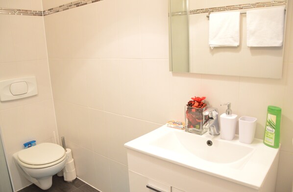 A bathroom with a toilet, sink, and mirror.