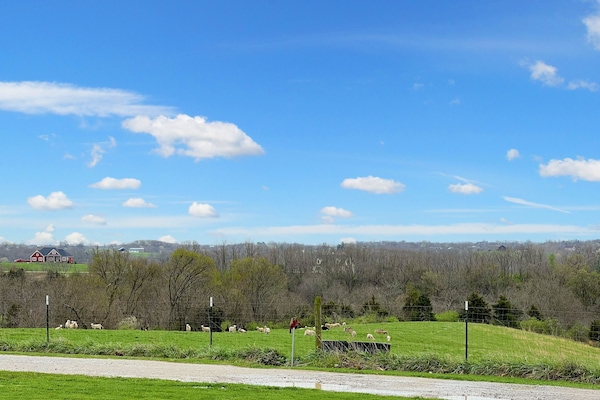 Take in the breathtaking views of expansive fields from the front yard!