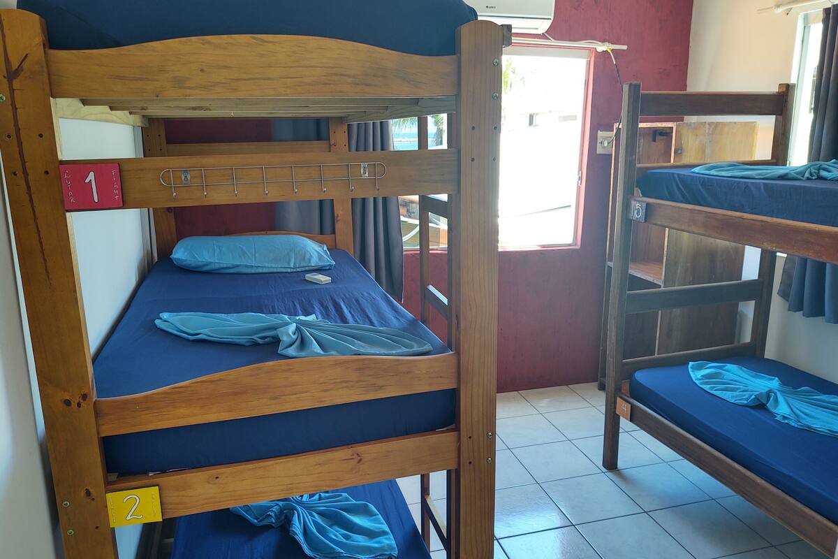 A bunk bed room with wooden frames, numbered beds, and a window allowing natural light.