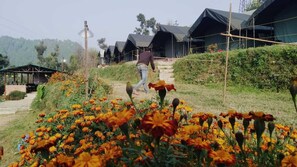 Front of property - WILD ROOTS RIVER CAMP NAINITAL (Dhari)