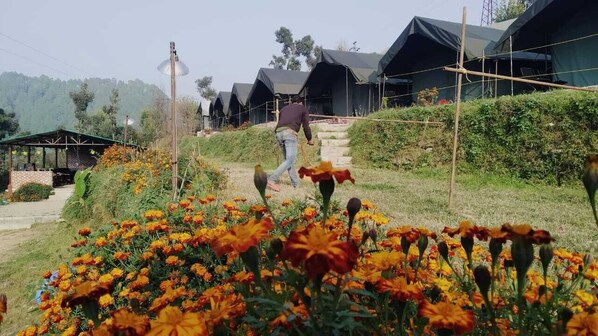 Front of property - WILD ROOTS RIVER CAMP NAINITAL (Dhari)