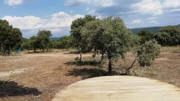 Tenda Romantis | Pemandangan taman