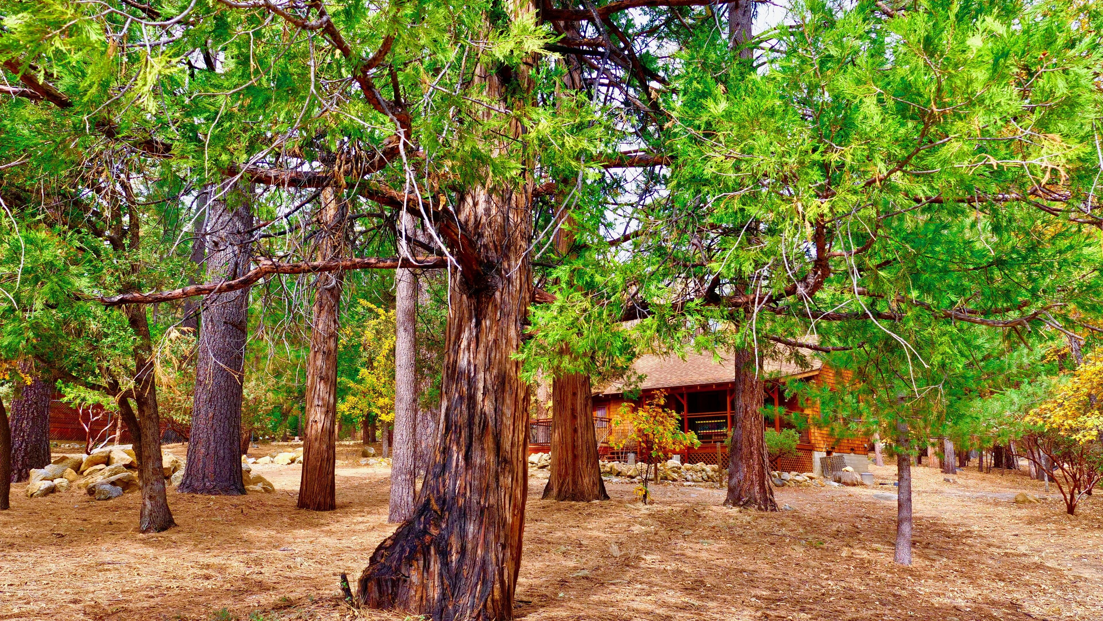 Overnattingsstedets uteområder