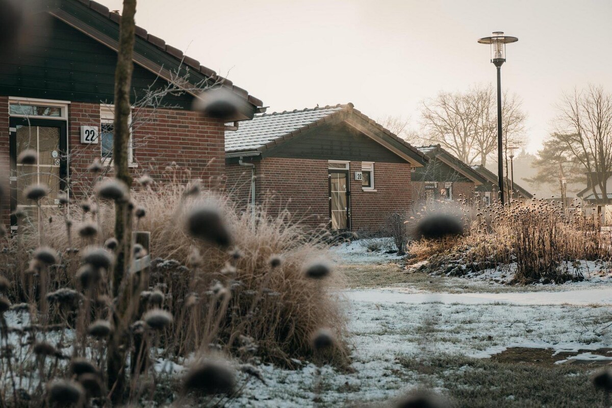 Imagen de perfil del propietario o de la propietaria