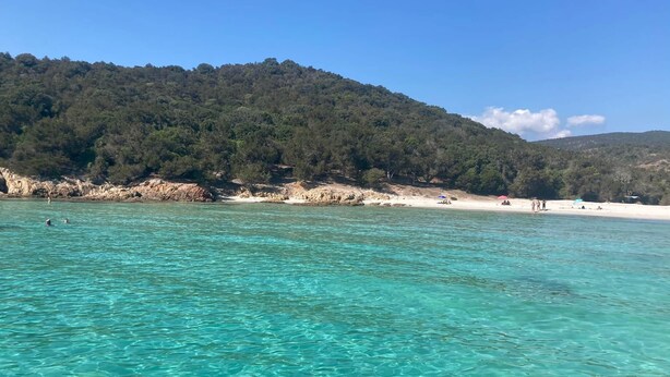 Uma praia com águas turquesa cristalinas, uma faixa de areia e uma colina arborizada ao fundo.