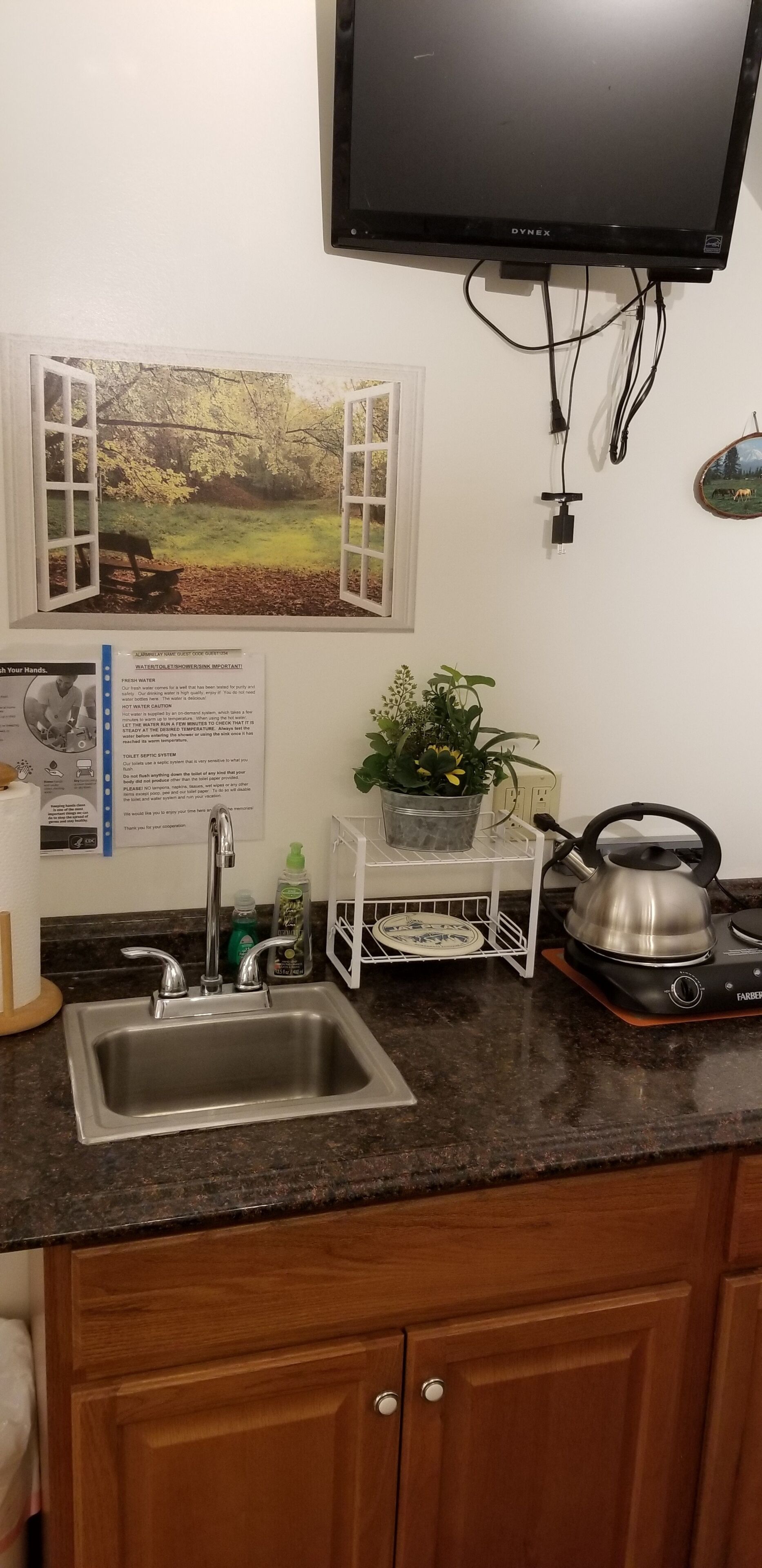 Een keuken met een roestvrijstalen spoelbak, een waterkoker, een potplant en een aan de muur bevestigde televisie.