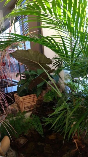 Property grounds - Santa Clara Hotel e Restaurante (Sao Pedro do Sul)