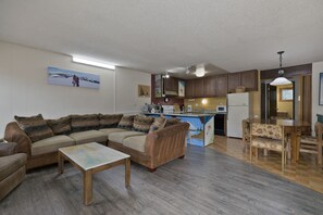 TV, fireplace, books