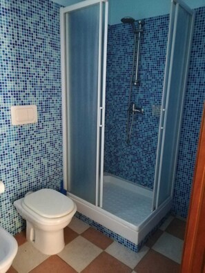 Tweepersoonskamer (Blu) | Badkamer | Een douche, een bidet, handdoeken