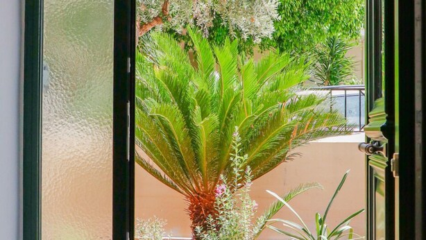 Una puerta de cristal da a un patio con plantas en macetas y una vista de un edificio al fondo.