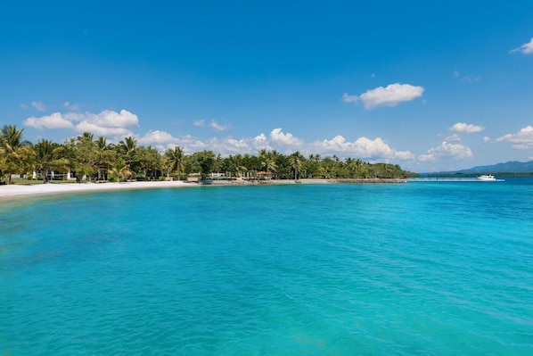 A beach with clear turquoise water, palm trees, and a boat in the distance.