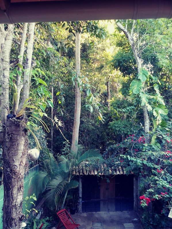 Área da propriedade