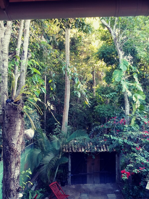 Área da propriedade