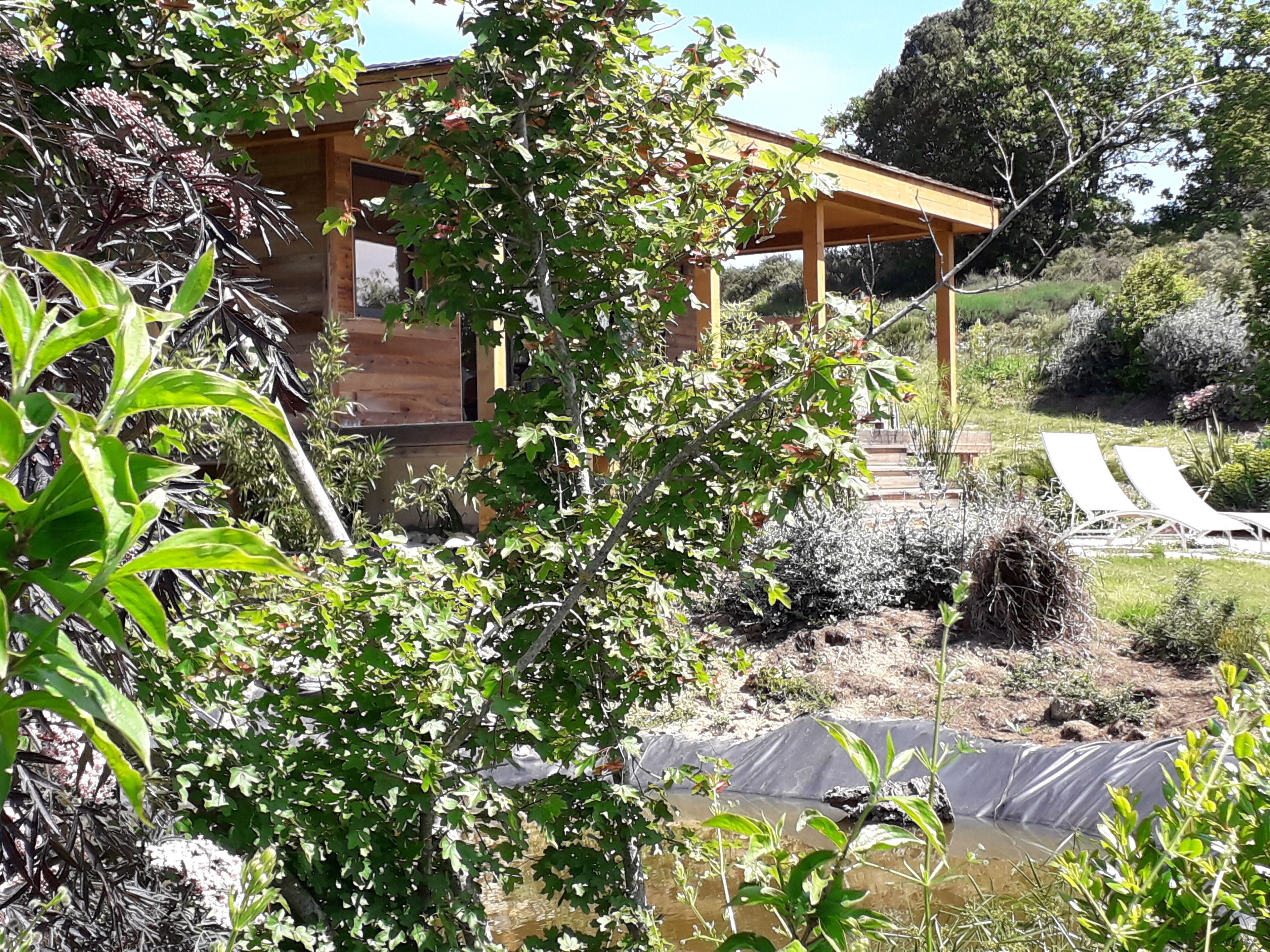 Une cabane en bois dotée d’un porche, entourée d’une végétation luxuriante et d’un petit étang.