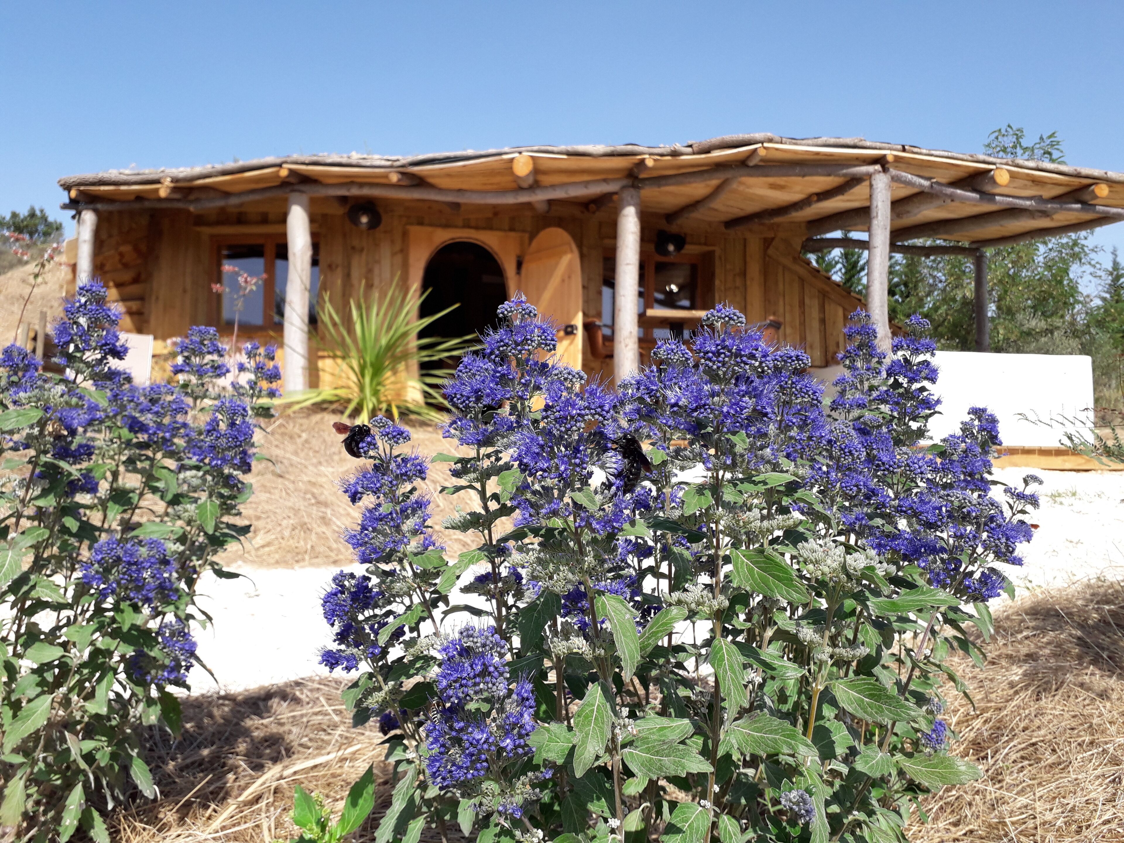 Exclusief huisje, bubbelbad, uitzicht op tuin (Maison du Hobbit) | Terras