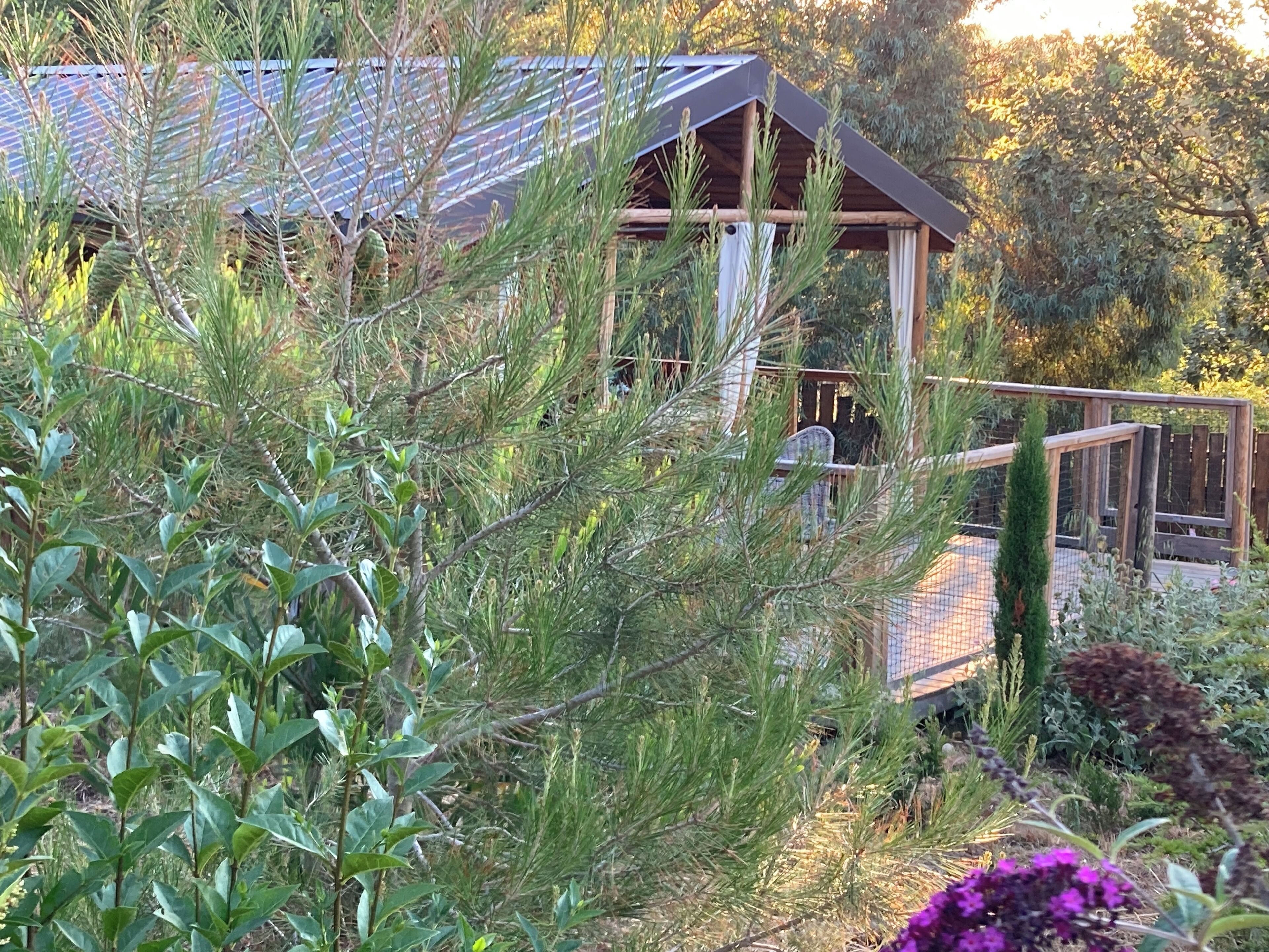 A wooden cabin with a sloped roof, surrounded by dense greenery and a wooden deck.