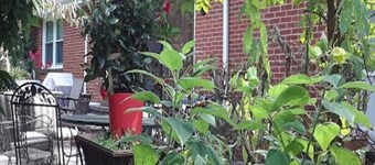 Private In-Law Suite