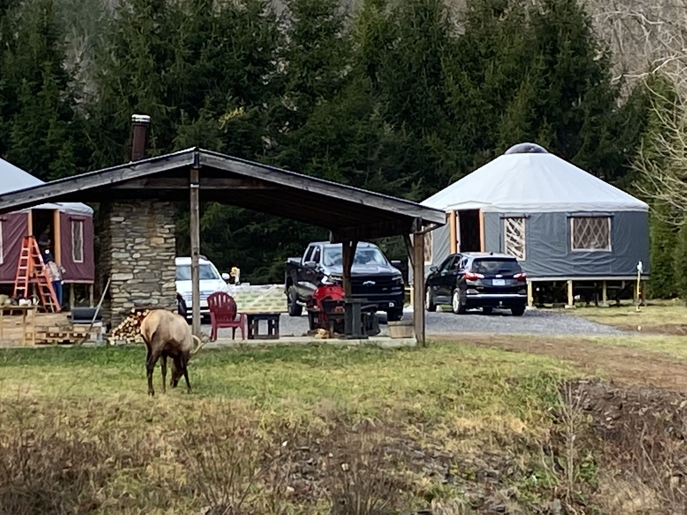 Maggie Valley Cabin Rentals Reviews, Deals & Photos 2026