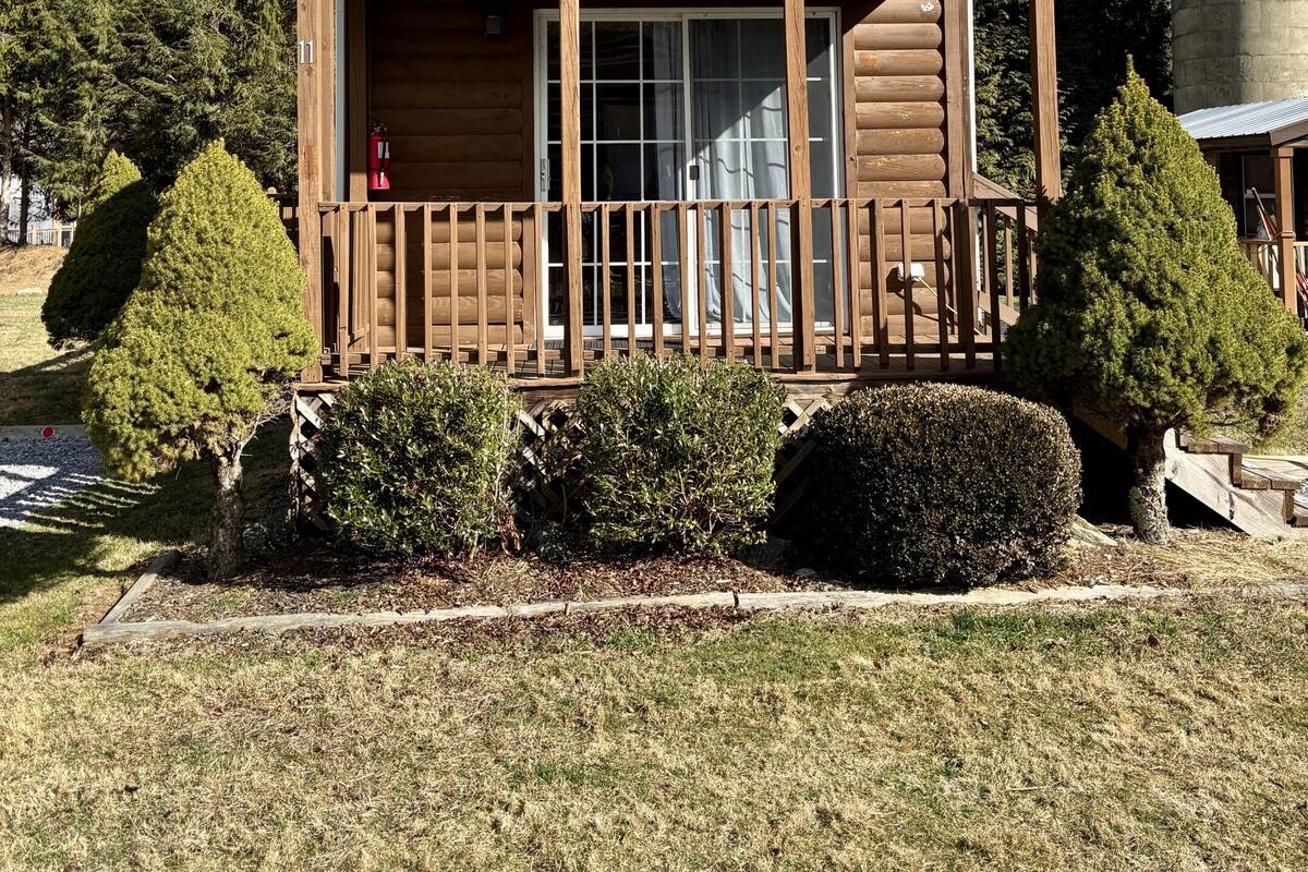 A wooden cabin with a porch, surrounded by trees and a grassy area.