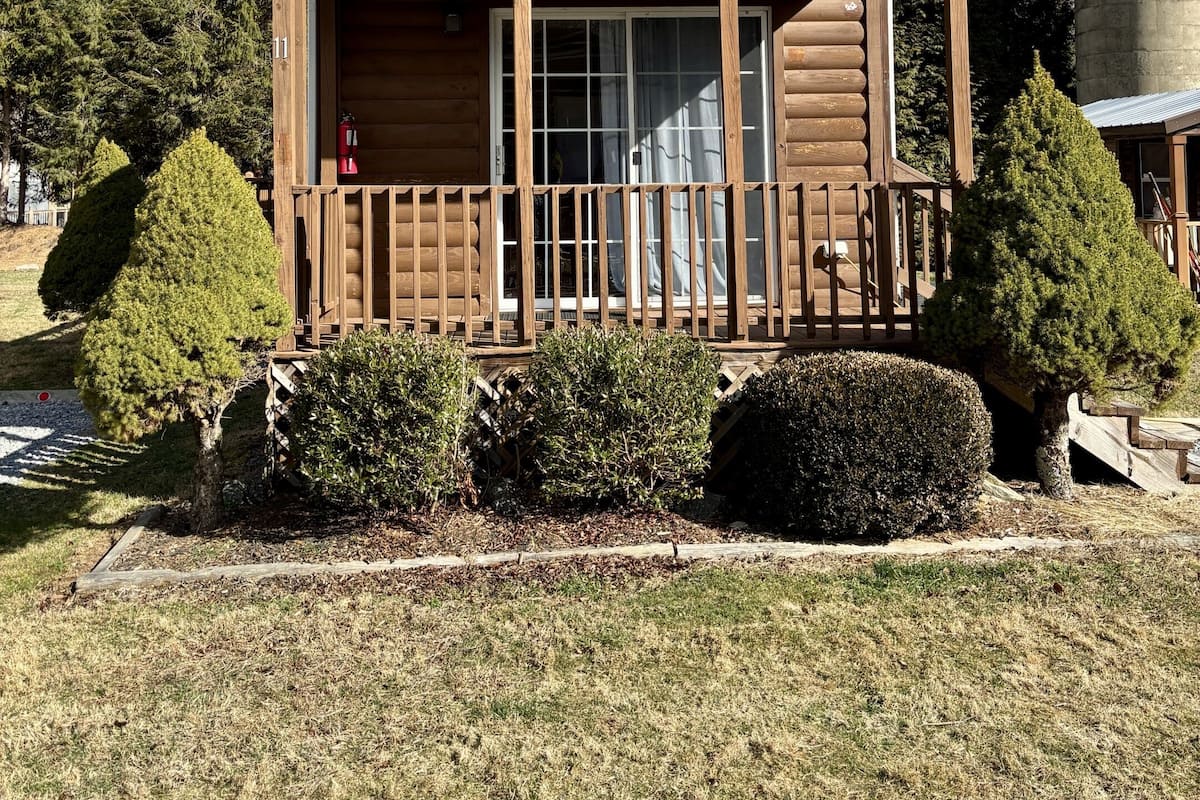 Cabin, Private Bathroom, Mountain View (Bat Cave) | Terrace/patio