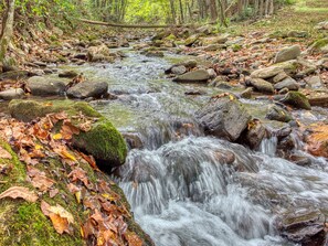 View from property - Maggie Valley Cabin Rentals (Maggie Valley)