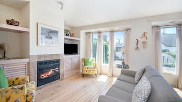 Télévision, cheminée, chaîne hi-fi