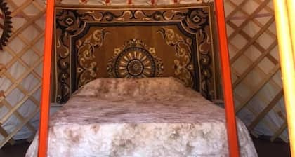 Camping Fonts de l'Algar