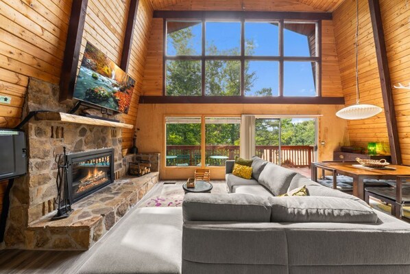 Smart TV, fireplace, video games, books