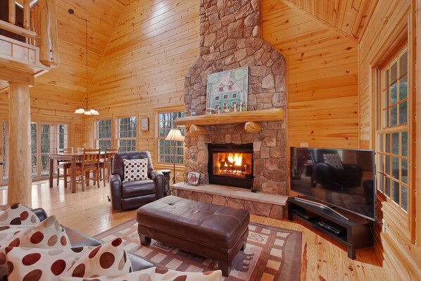 Televisión, chimenea, reproductor de DVD y libros 