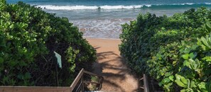 Walk along the coastal pathway to a serene beach, flanked by lush greenery and accessible via wooden steps.