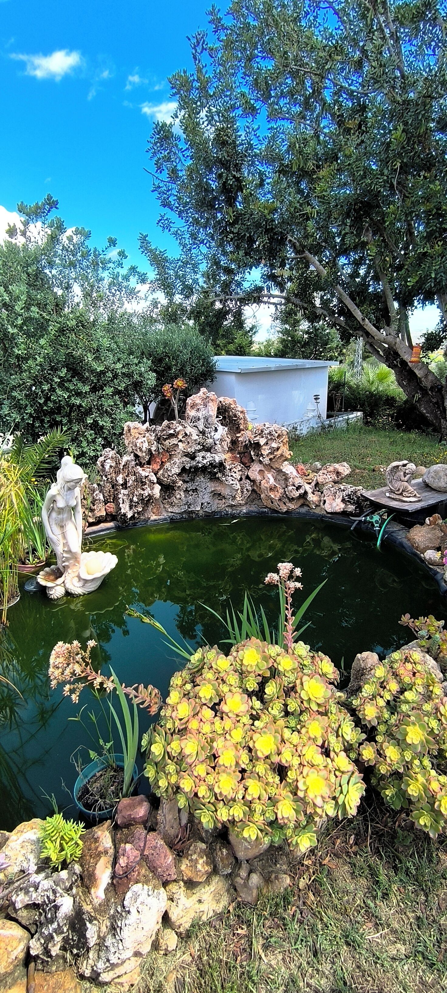 Een tuin met een vijver, rotsen en een standbeeld.