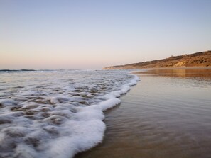 Playa en los alrededores, camastros y toallas de playa 