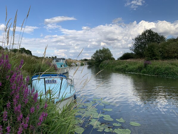 Kayaking - The White Hart (Cranbrook)