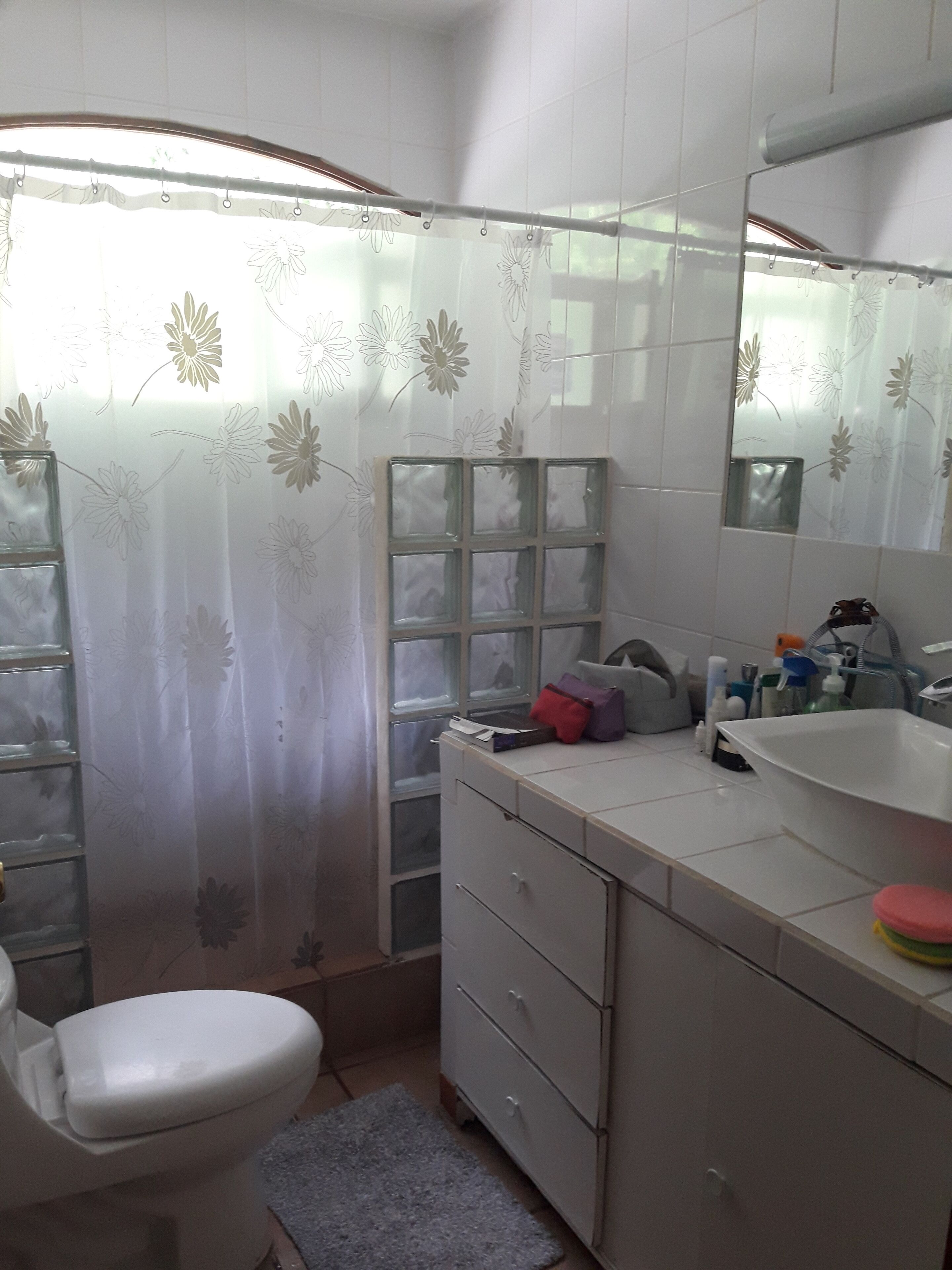 A bathroom with a toilet, a sink, a mirror, and a shower area with a curtain.