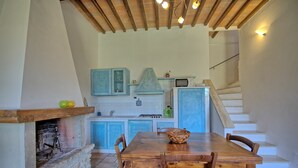 A rustic kitchen with blue cabinets, a stone fireplace, and a wooden dining table with chairs. - Lovely apartment for 3 guests with WIFI, pool, TV and pets allowed (Molino D'elsa)