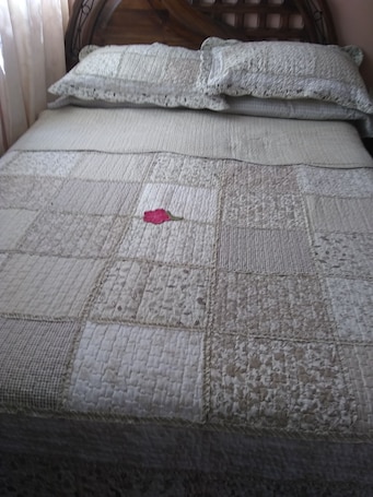 Basic Single Room | Egyptian cotton sheets, premium bedding, down comforters. Hospedaje Marita