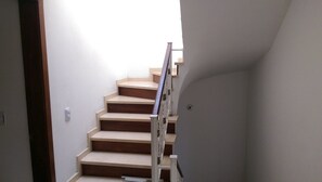 Interior - WITNESSES OF THE TROPICAL FOREST (El Ingenio)